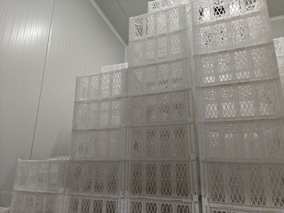 Lădițe plastic fructe 10-12 kg