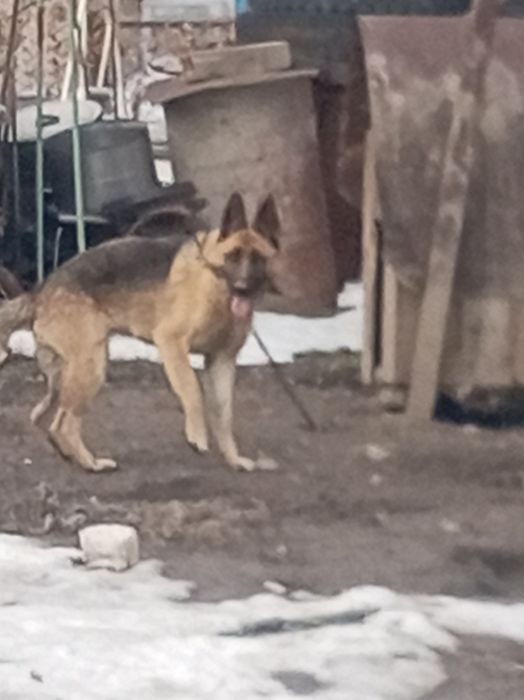 Продам Продам Продам