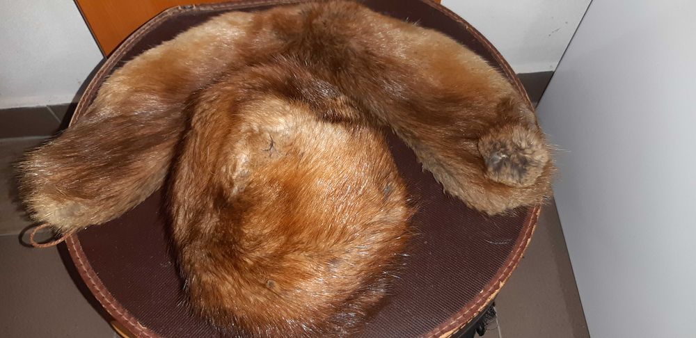 Vand gulere si toca polara,argintie,bizam si nurci