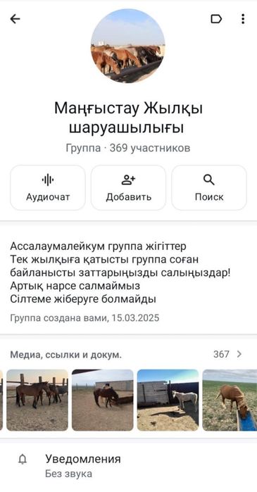 Жылқы группа Маңғыстау