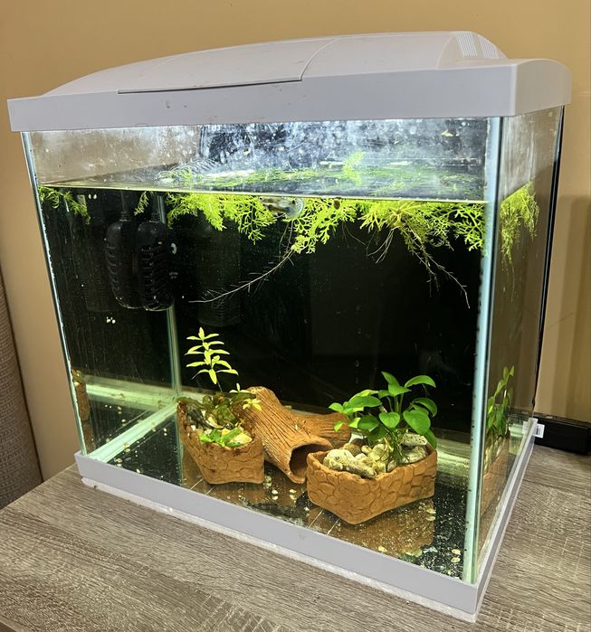55 литров аквариум