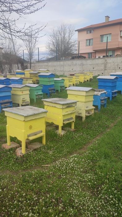 Пчелни кошери 10-рамкови - собствена изработка (без пчели)