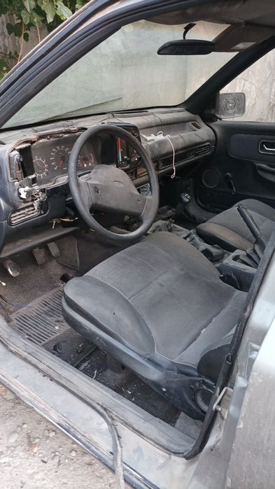 Dakument hamma narsasi bor