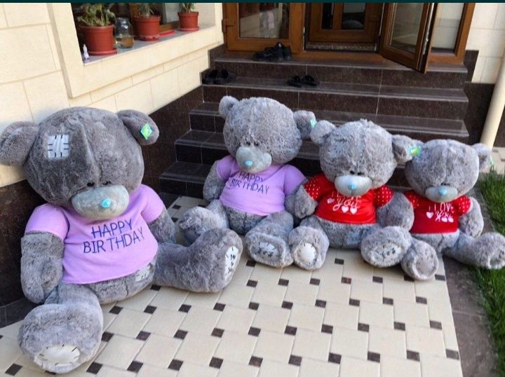 Teddy Teddi Teddiy OPTOM NARX