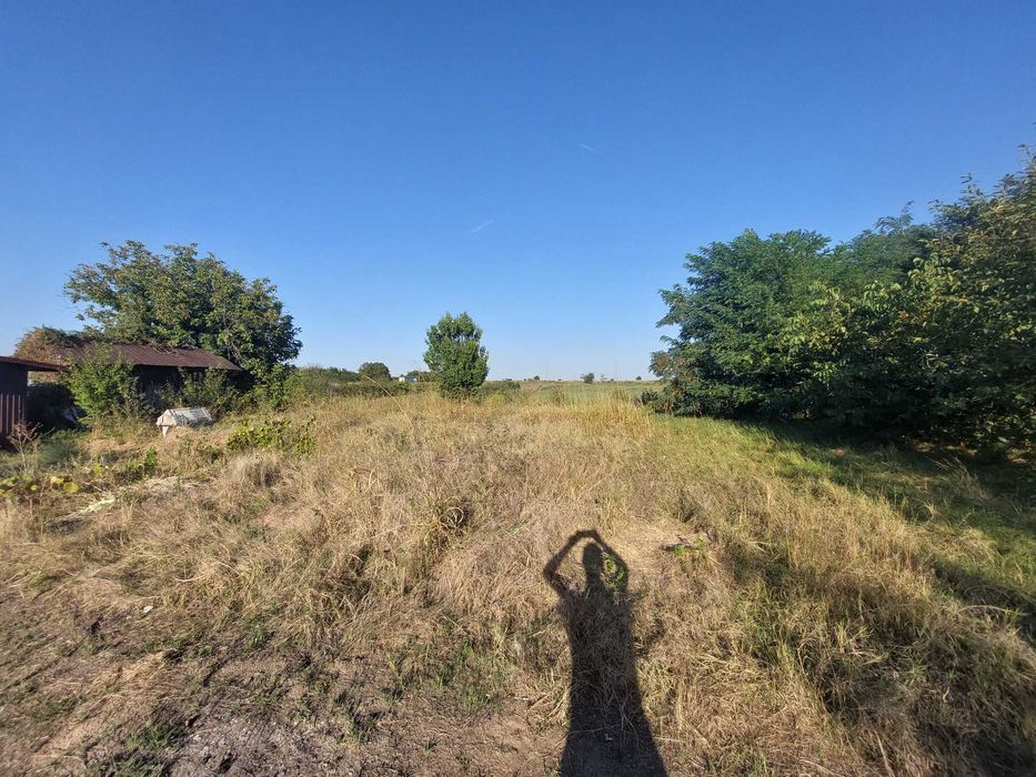 vand casa si 2 hectare teren in curte