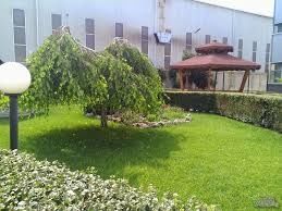 Почистване,косене на дворове и градини