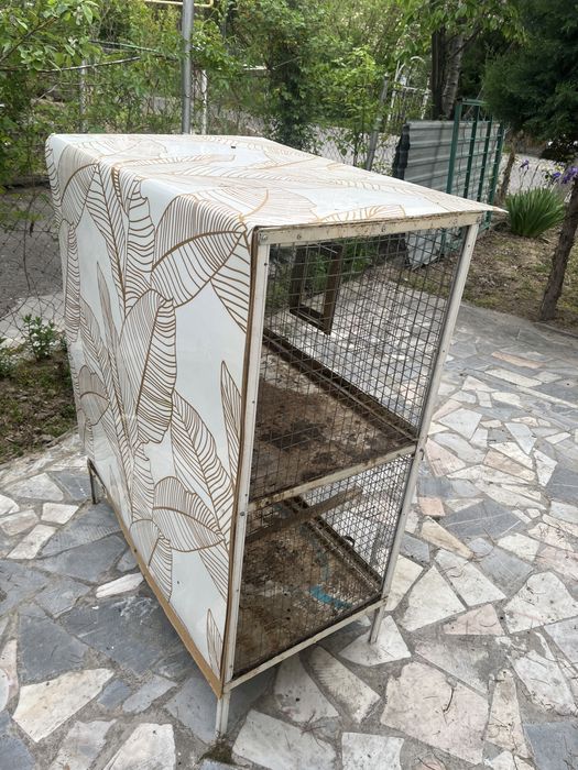 Quyon Sotiladi 1 Ogʻil 1 Qiz In alohida sotiladi