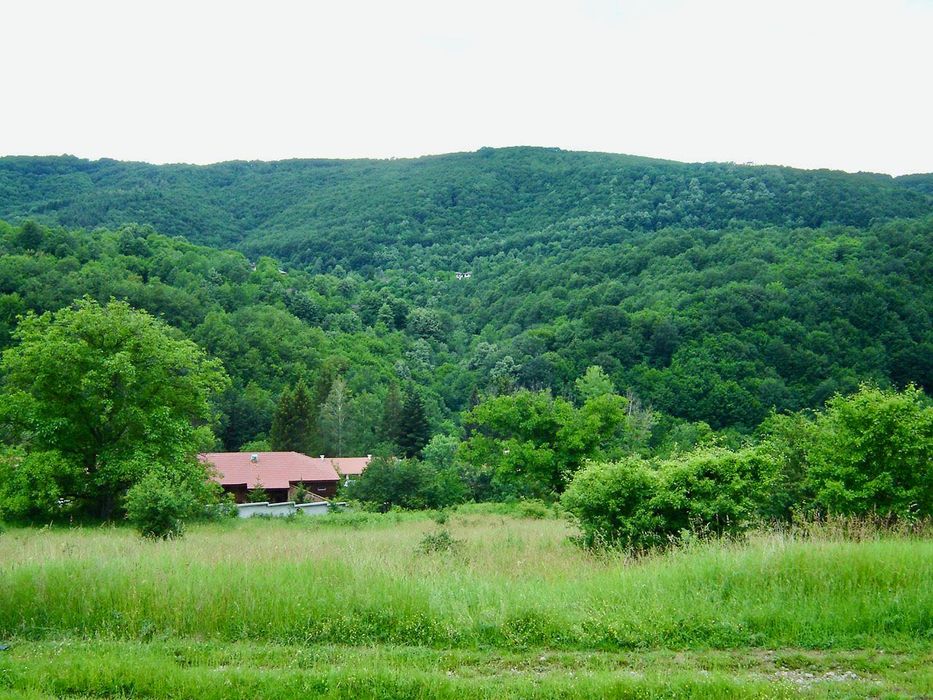 Продава се Парцел в с. Боженците, Област Габрово - 1000 кв.м за 10 €/кв.м - Снимка #6