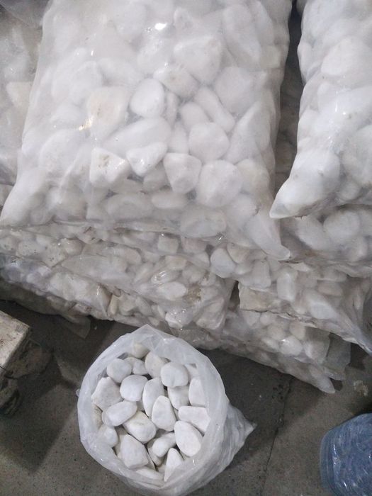 белый галка камен