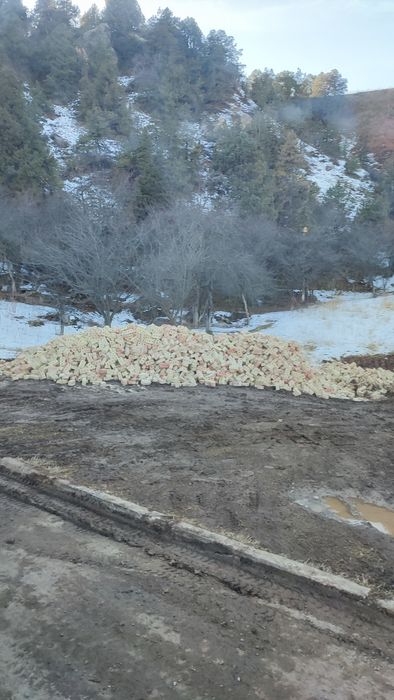 Клинец klines qum shag'al шебен.шагал . турпок.кум. гишт.шлакоблок