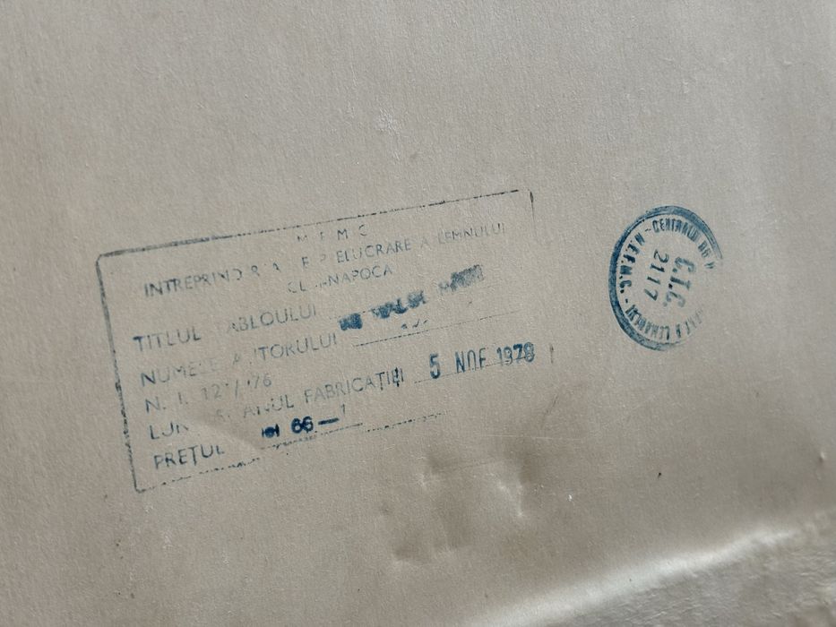 Tablou dama Original 1978 IPL Cluj Napoca Colectie 55X44