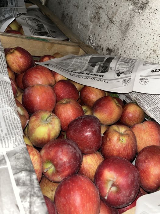 Продам Яблоки Американка 1 сорт