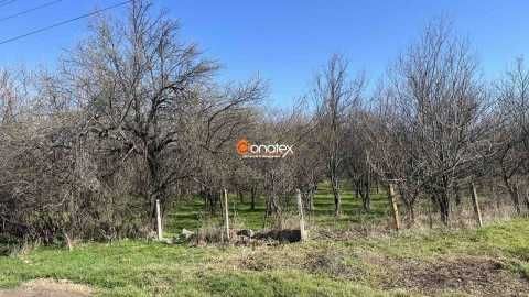 Продава се Парцел в с. Паничери, Област Пловдив - 780 кв.м за 10 €/кв.м - Снимка #2