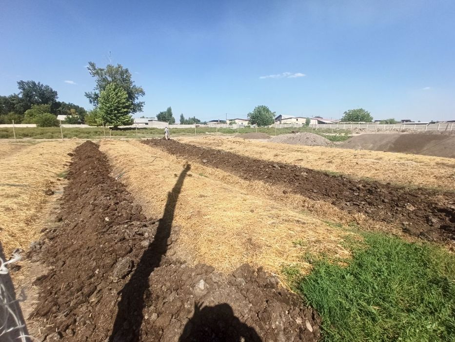 Биогумус натуральный, хорошего качества. По оптовым ценам! Скидка!