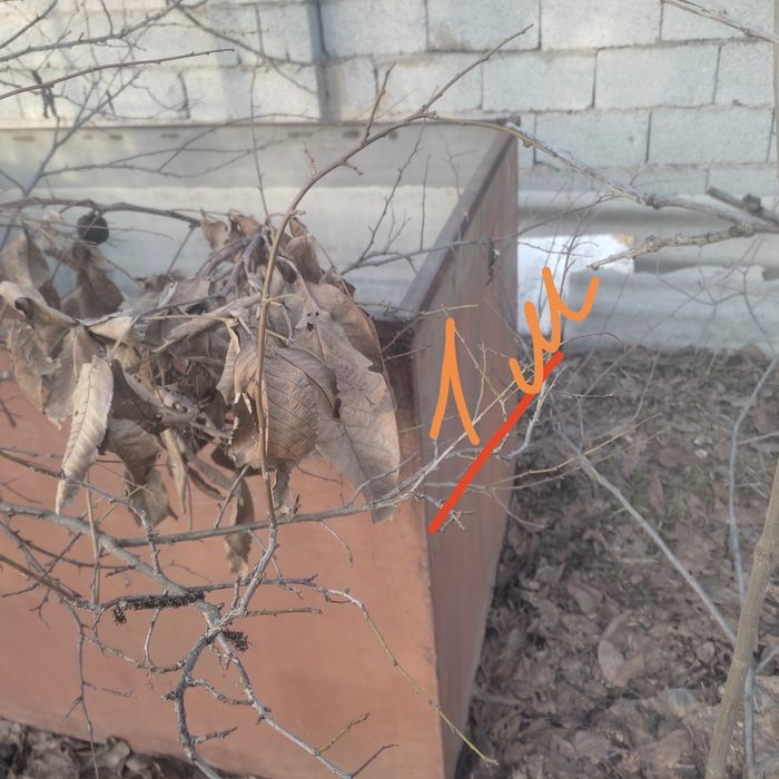 Бассейн Вместе с душевой.