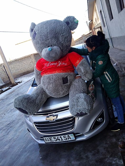 Teddi+ Teddy Panda va Boshqa Yumshoq O'yinchoqlar