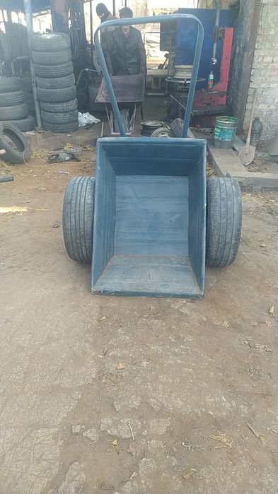 Arava ikki  gilderli arava