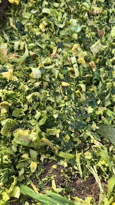 зерновой   силой