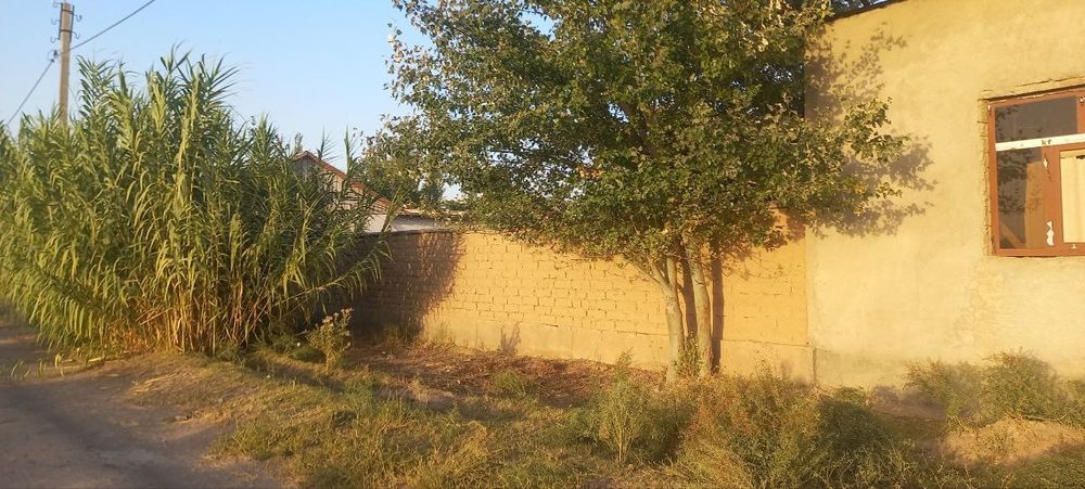 Дача сотилали 8 ст