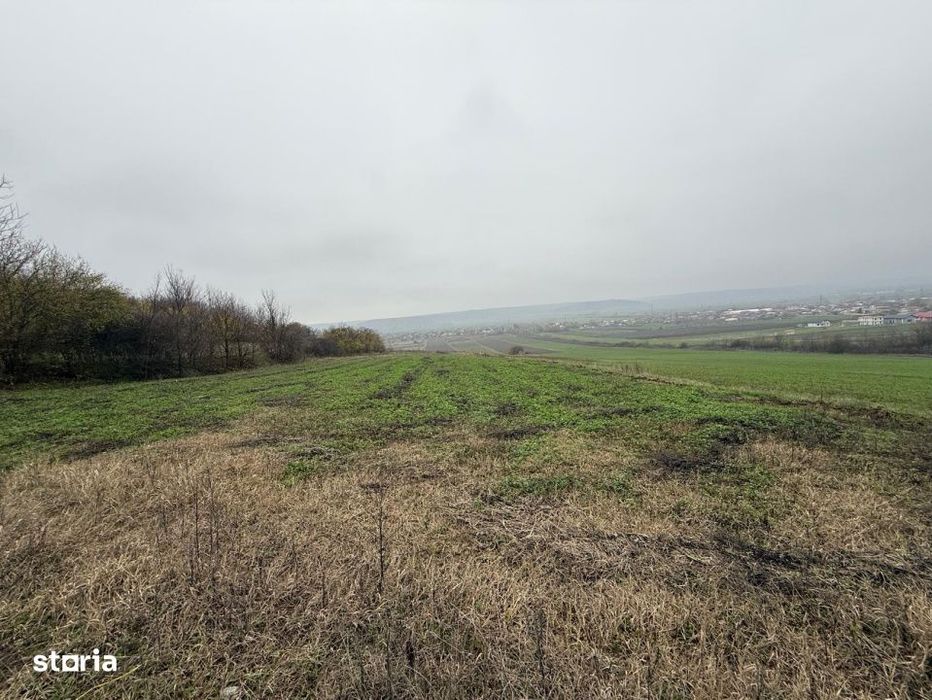 Teren intravilan 1000 mp + teren extravilan 1200 mp, comuna Simnicu de