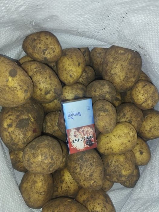 Картошка оптом 160 тг