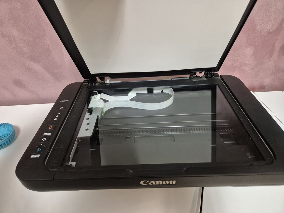 Canon Pixma MG2550S