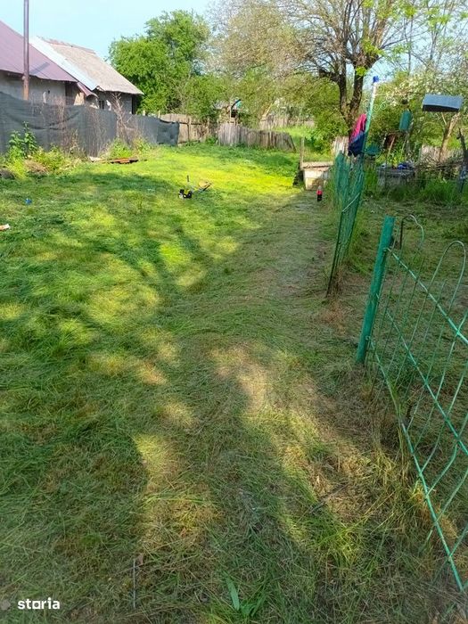Teren Meclănești ( Mischii )