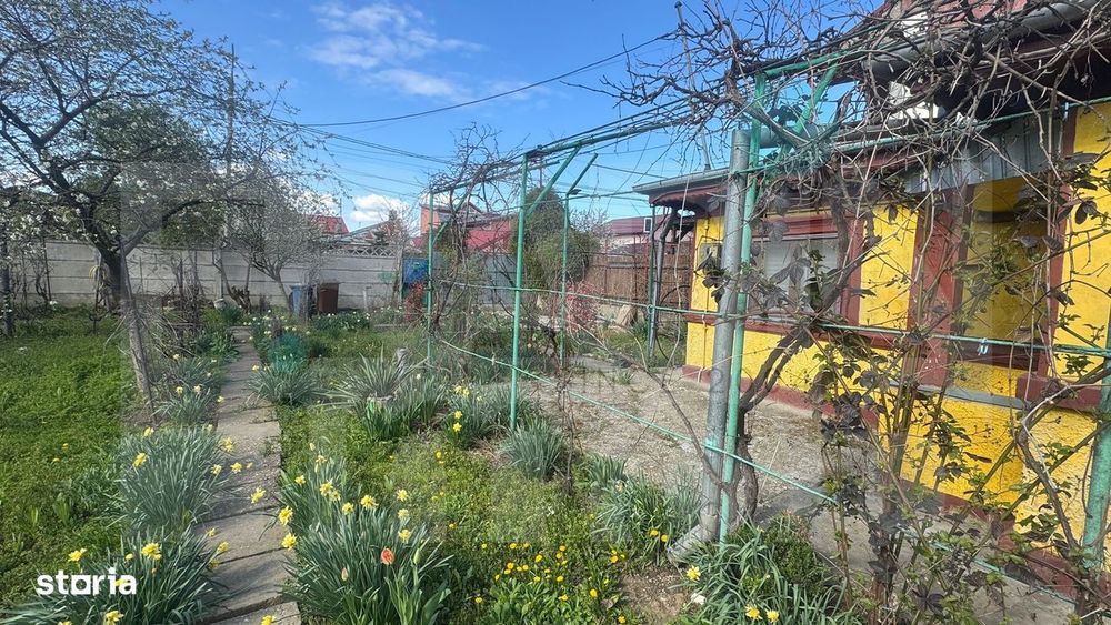 Voluntari – Teren Intravilan 861 mp | Deschidere 20m | Dragonul Roșu