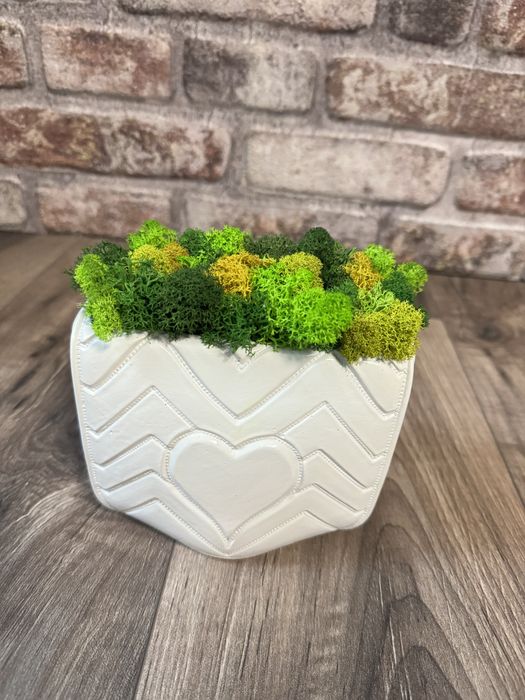 Кашпа със скандинавски мъх