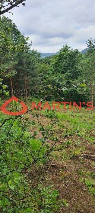 Продава се Парцел в с. Клисура, Област София-област - 800 кв.м за 94 €/кв.м - Снимка #6