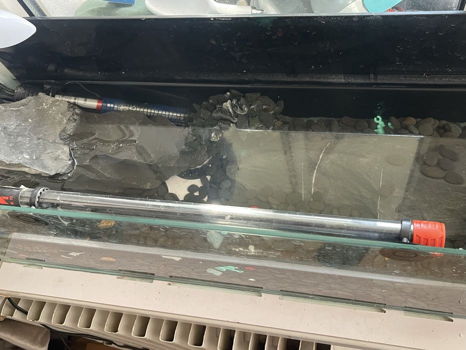 Продам аква черепаха Сатылады