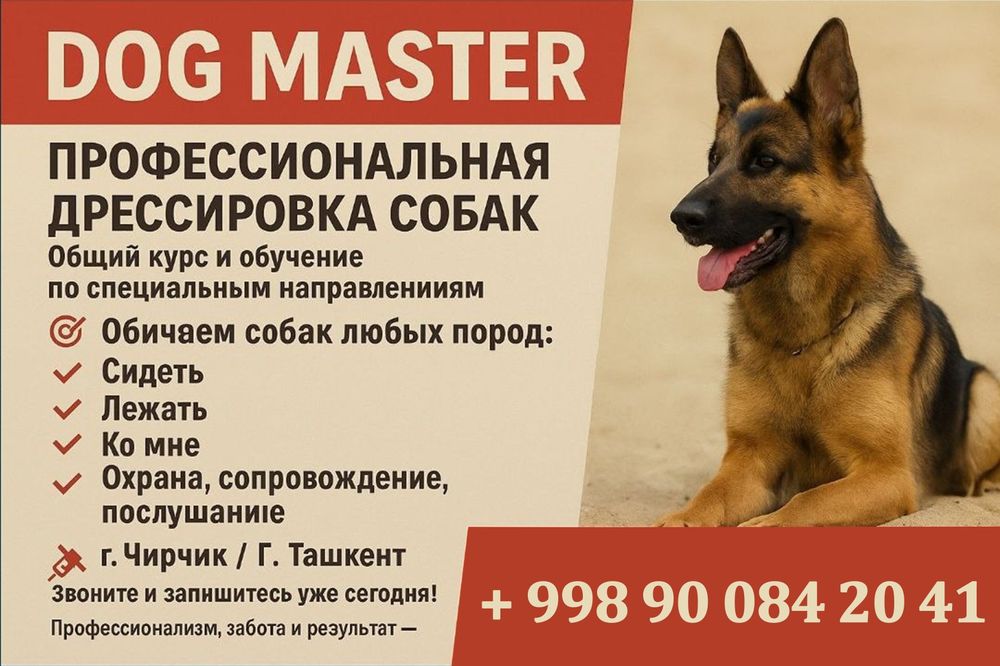 Дрессировка собак и груминг