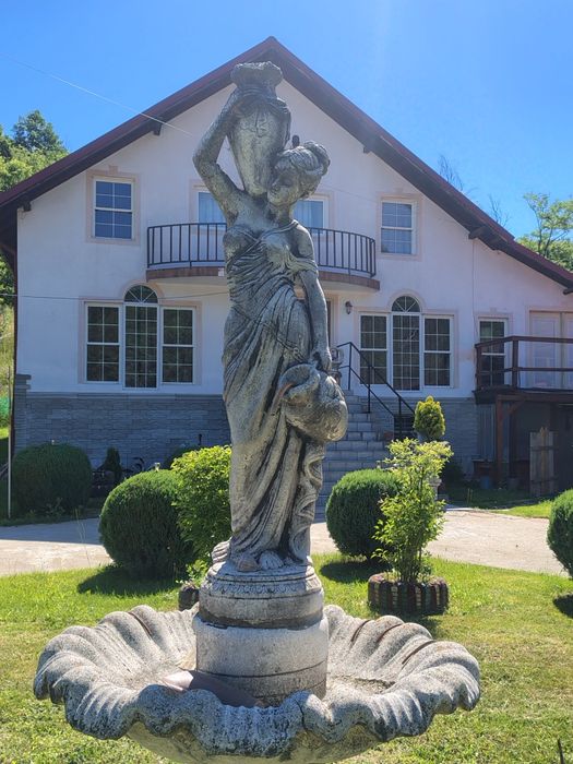 Vând Vila in Toplița!