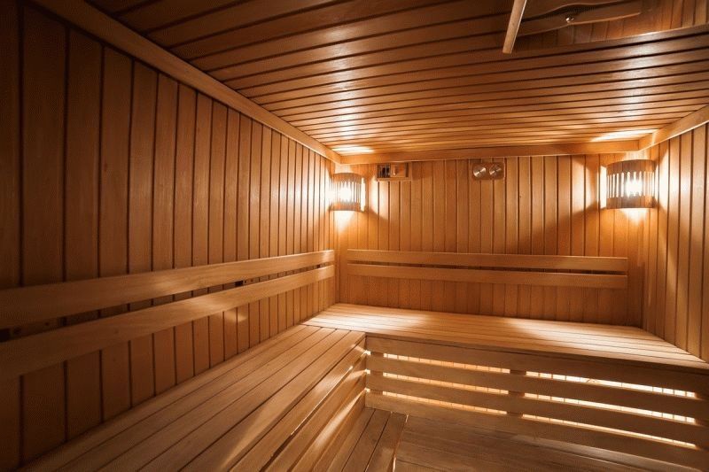 Стропила stropila