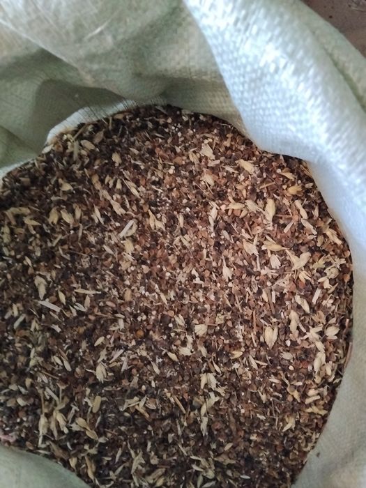 Зерновые отходы пшеничные гречневые