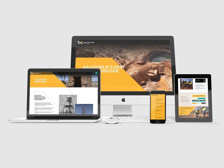 Website profesional, magazin online, platforma web