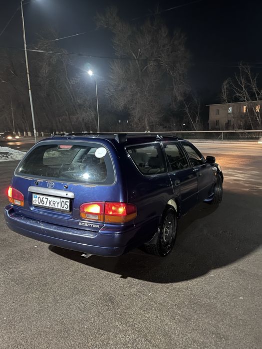 тайота скепто