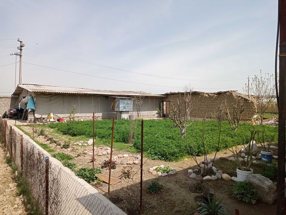 Yu  Дача с кадастром 14 соток 2 комнаты Тойтепа, Ташканал