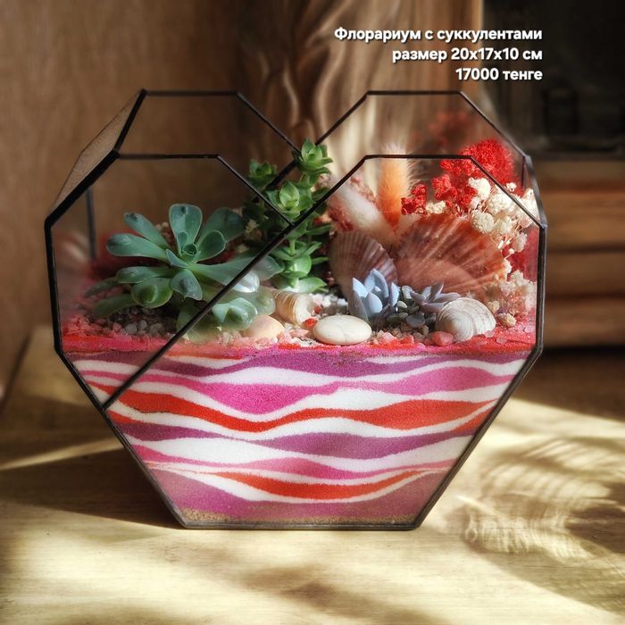 Флорариум, суккуленты