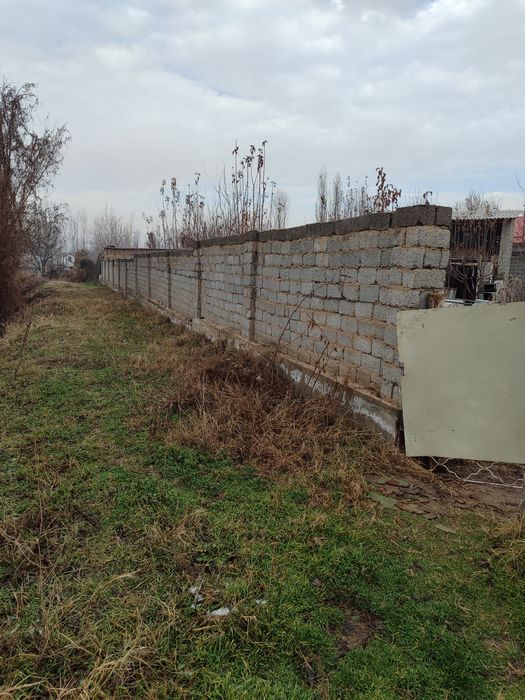 Chinoz tumani Isloxot MFY da xovli sotiladi.Narxi kelishiladi