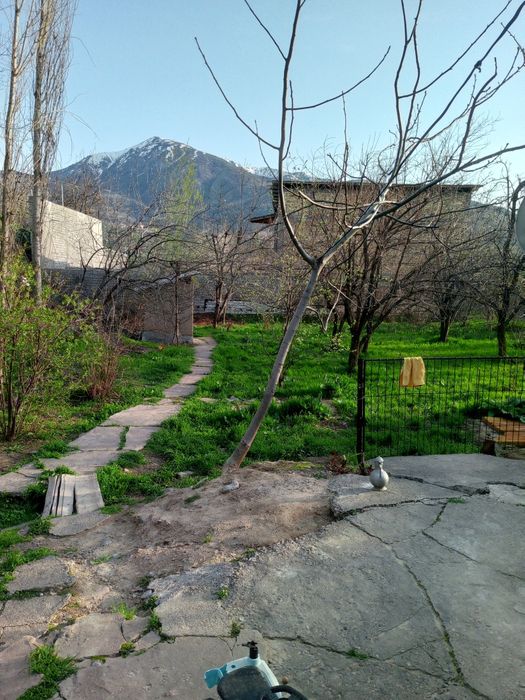 Продам дом в Чарваке, рядом с Бочки 9,2 сотки