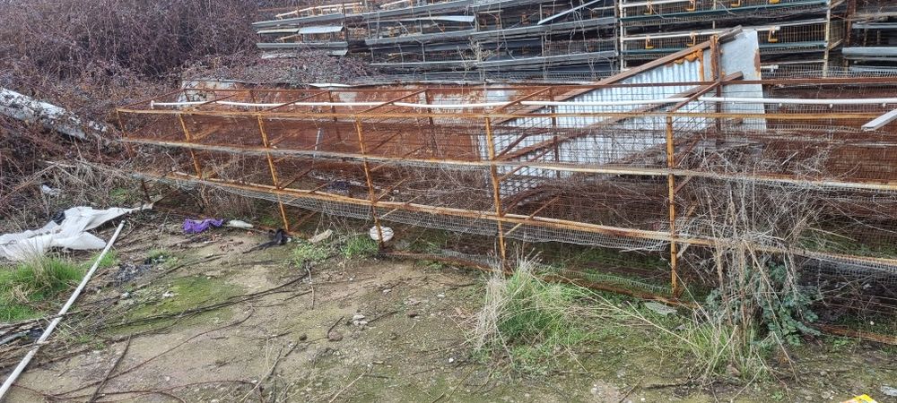 Бедана кафас Клетки для перепелов