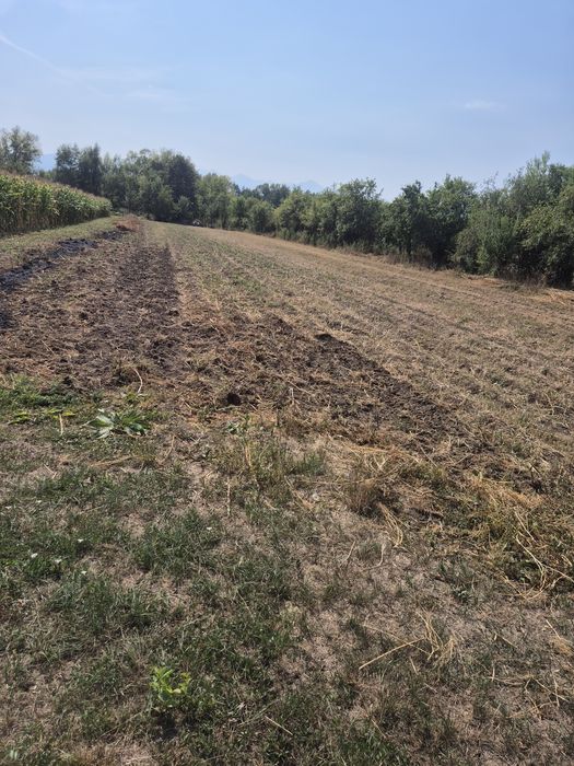 Vând teren intravilan în satul tustea jud HUNEDOARA