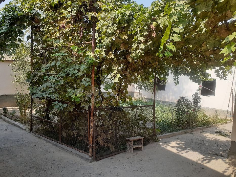 Участок. Дом. ДВор