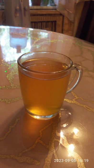 Лечебный -Гриб чайный