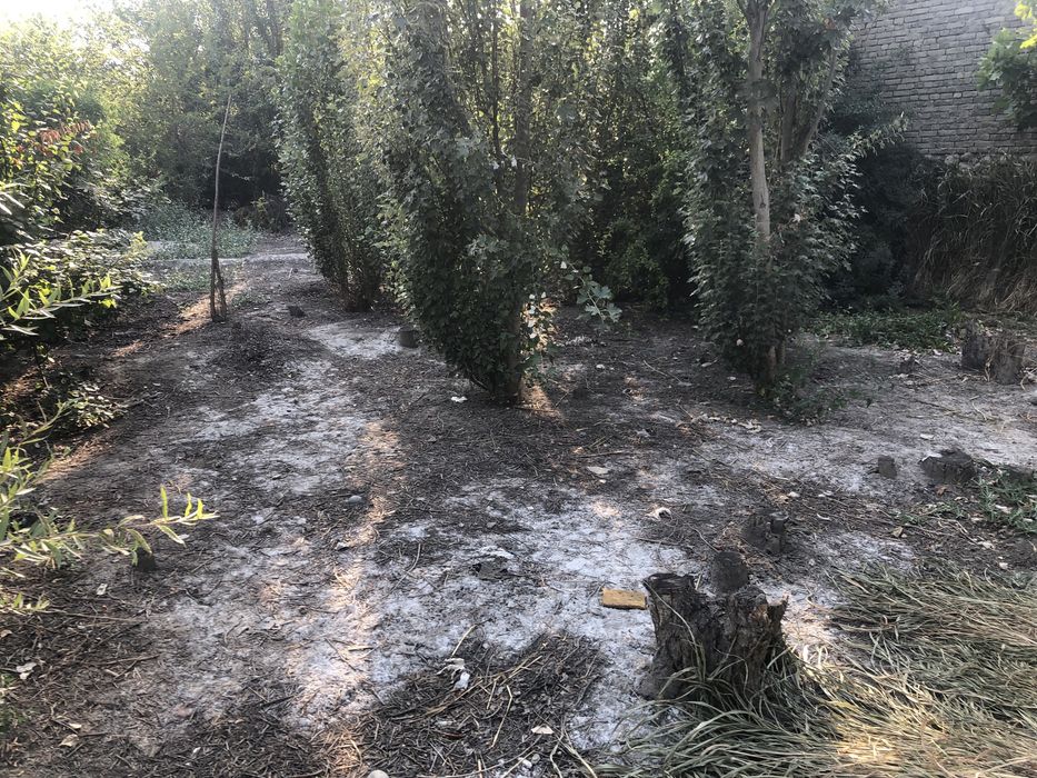 ARZON NARH Hovli joy quruq yer bahosida