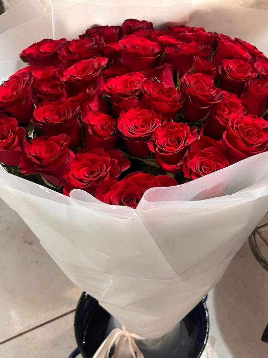 51 Роза голландская