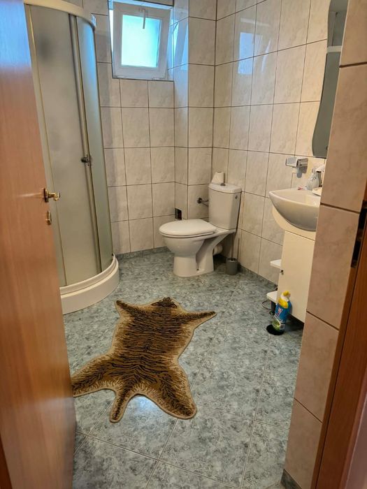 Casa Fedelesoiu mobilata si utilata