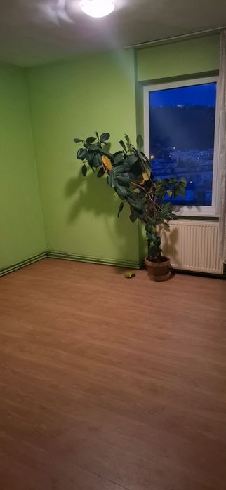 Vand apartament in Tudor