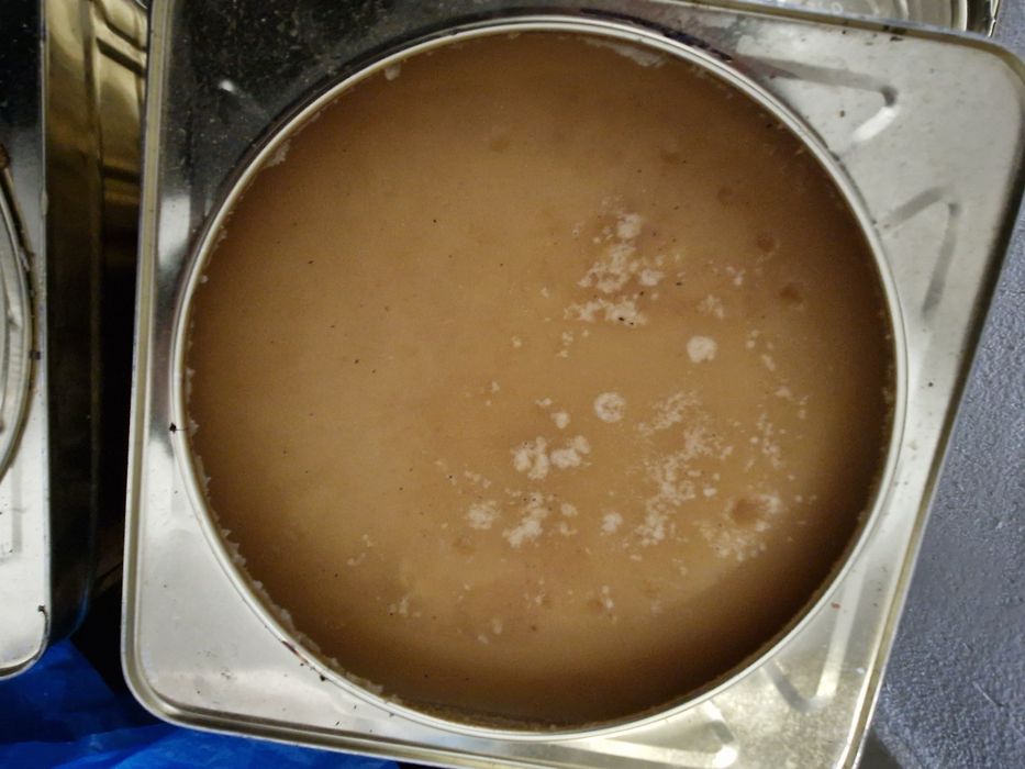 Пчелен билков мед 2025г безплатна доставка заСтара Загора